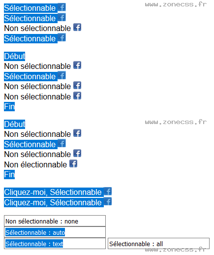 copie d'écran de l'affichage de la propriété CSS -moz-user-select