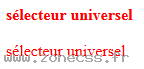 copie d'écran de l'affichage du sélecteur CSS universel